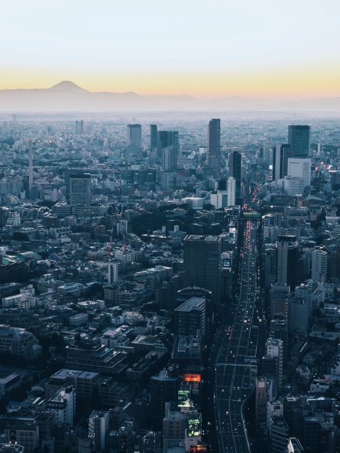 minato, japan, skyscrapers, city, view from above 4k Wallpaper 4K