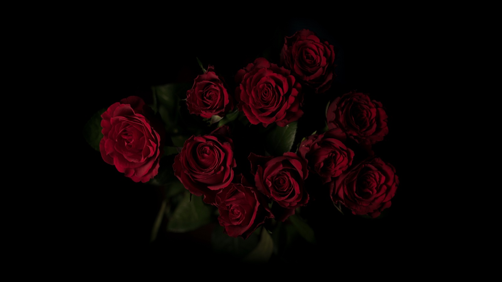Wallpaper 4k roses, bouquet, red, dark background 4k Wallpaper