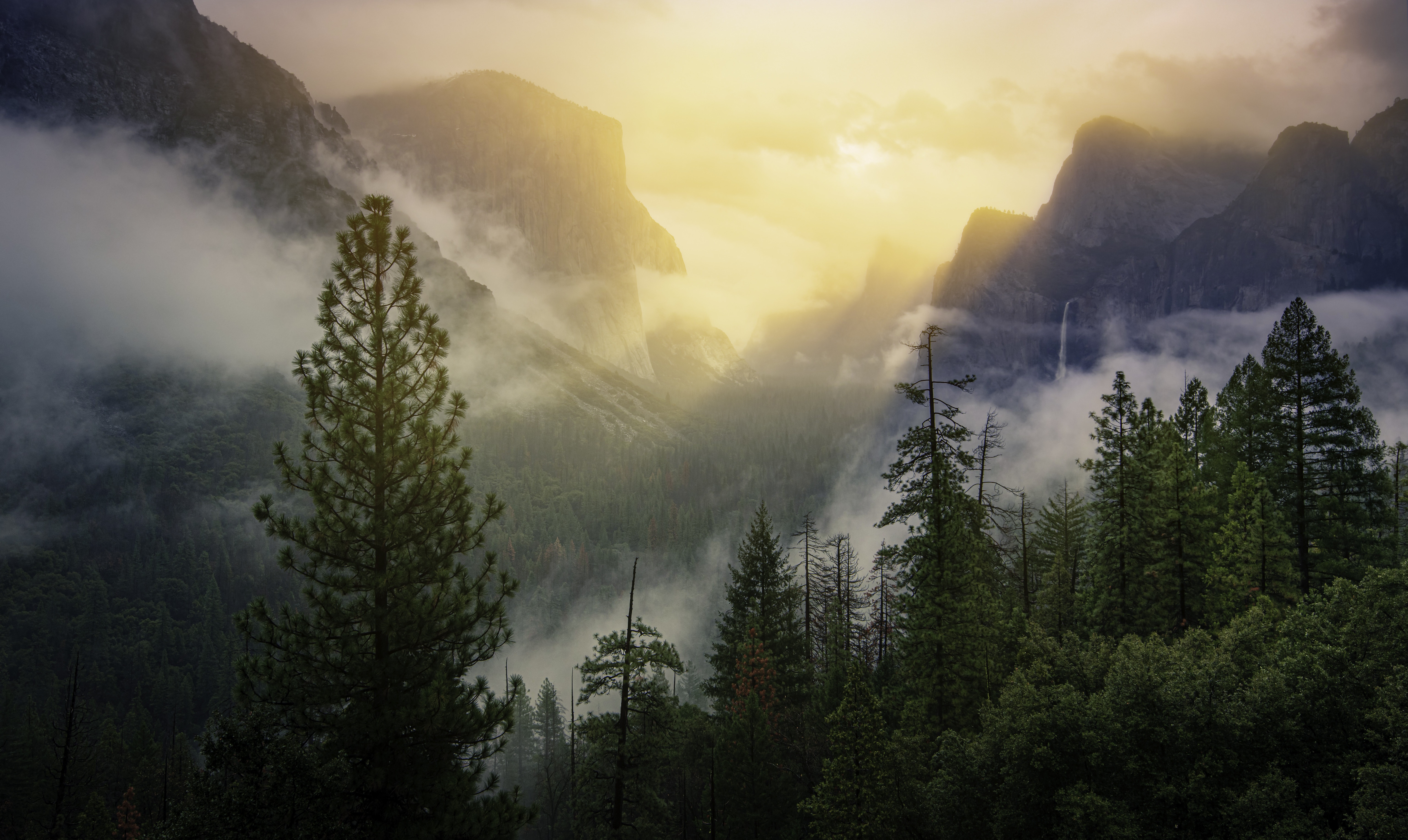 Лес горы слились все. Национальный парк Йосемити в тумане. Долина Йосемити Эстетика. Йосемити хвойный лес. Туманный лес Таганай.