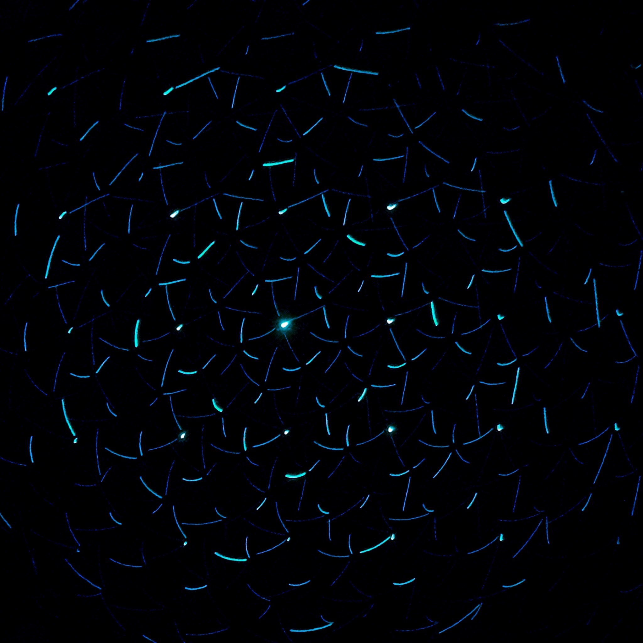 Wallpaper 4k light, neon, dark background, circles 4k Wallpaper