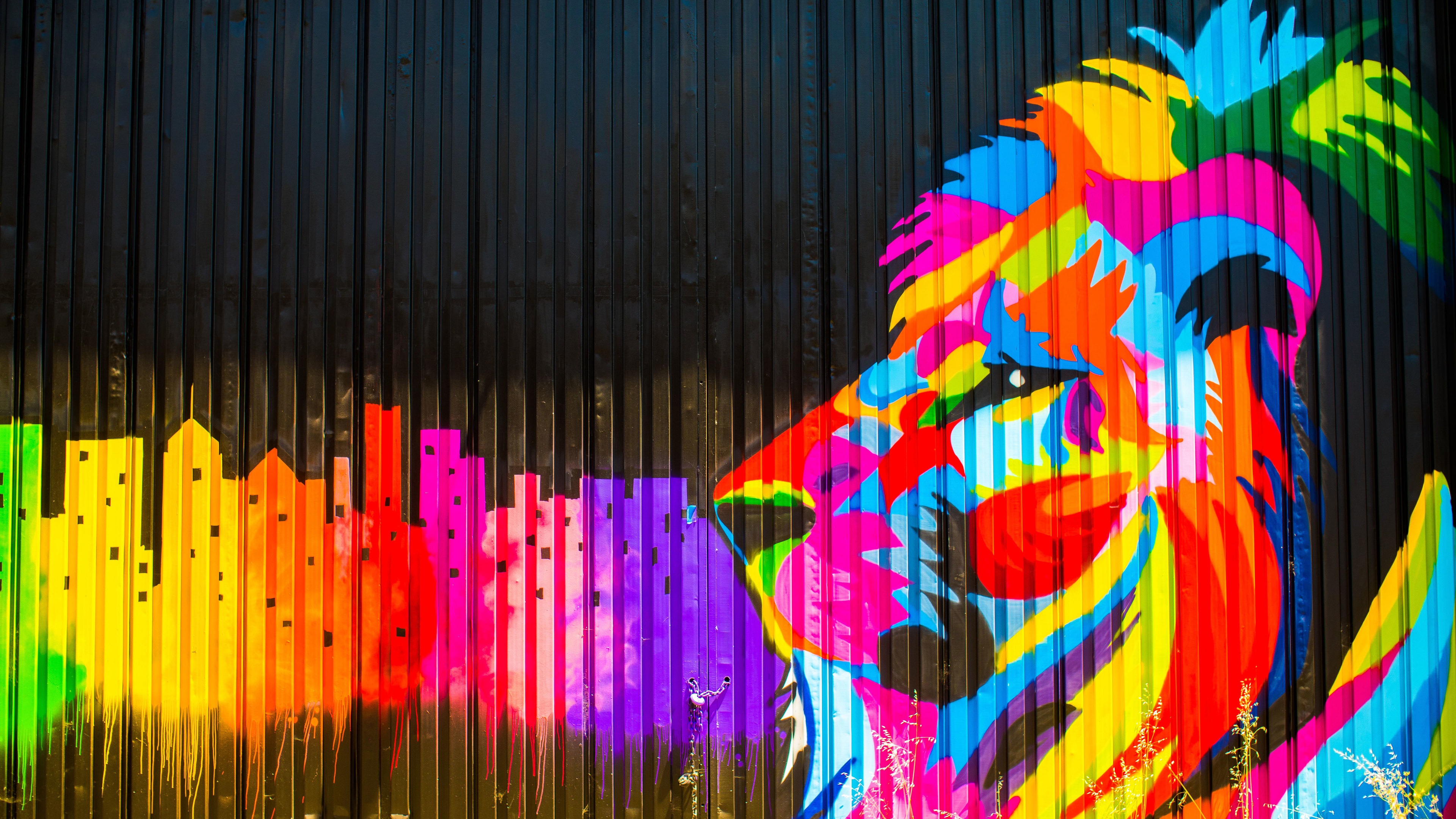 Wallpaper 4k Lion Graffiti 4k Wallpaper