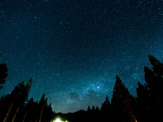 Wallpaper 4k starry sky, night, stars, forest, nebula 4k Wallpaper