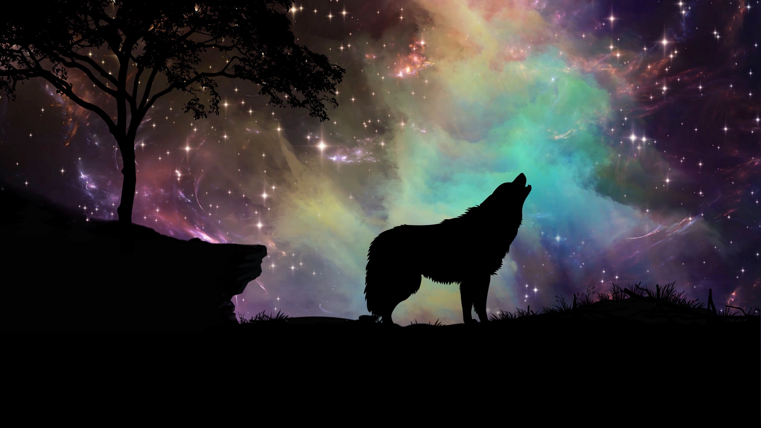 Wallpaper 4k wolf, starry sky, silhouette, art 4k Wallpaper