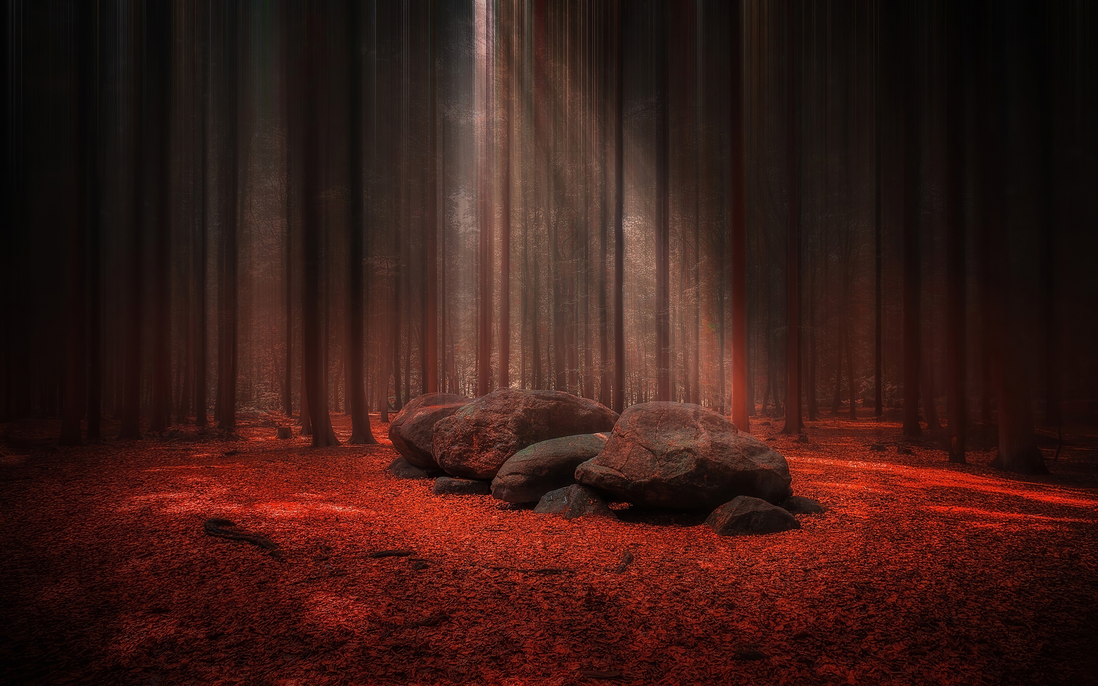 Dark scene. Зловещий фон. Мрачный фон. Страшный красный лес. Мрачное место.