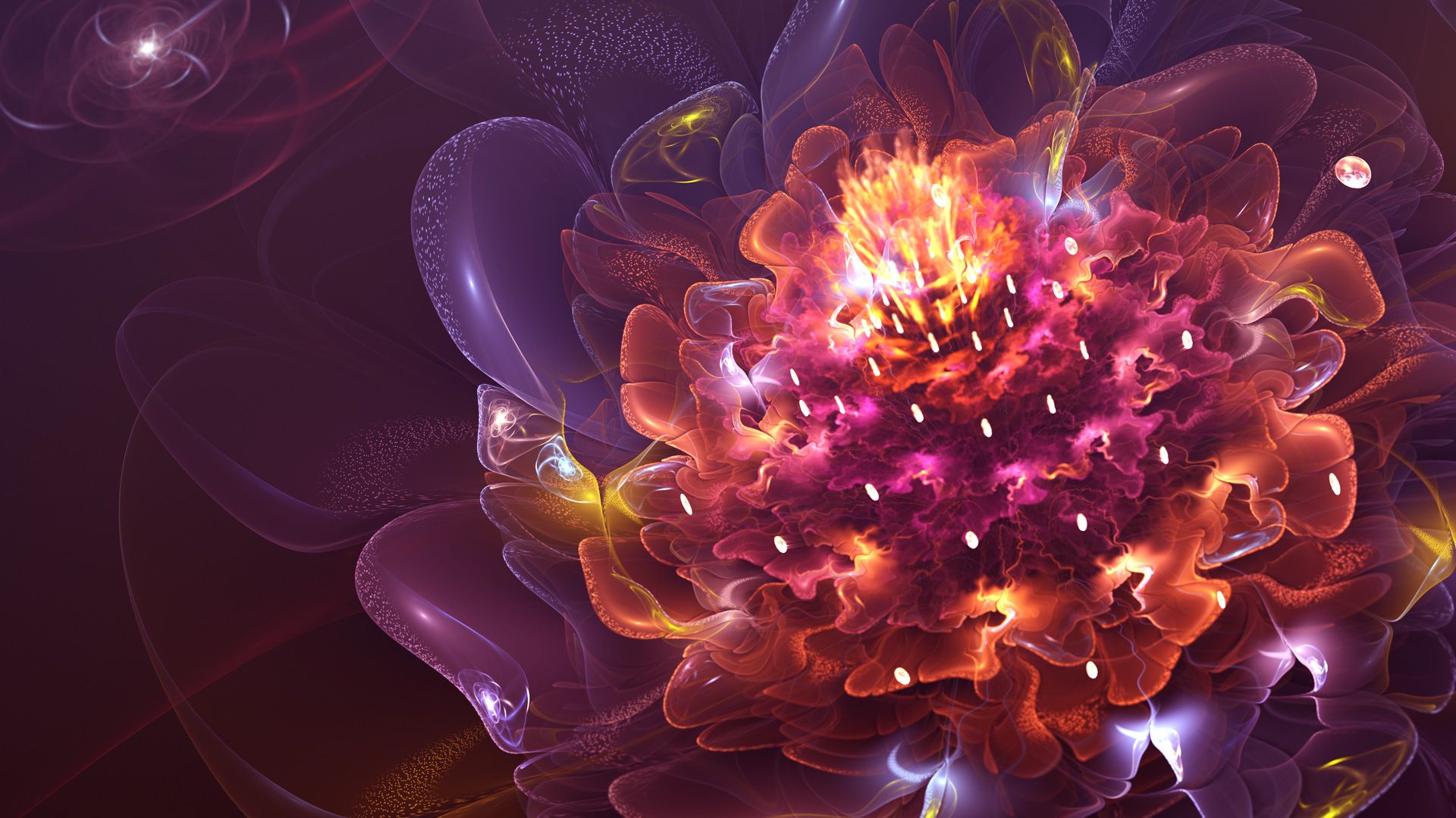 3D Abstract Flower 4K Wallpapers  HD Wallpapers  ID 19169
