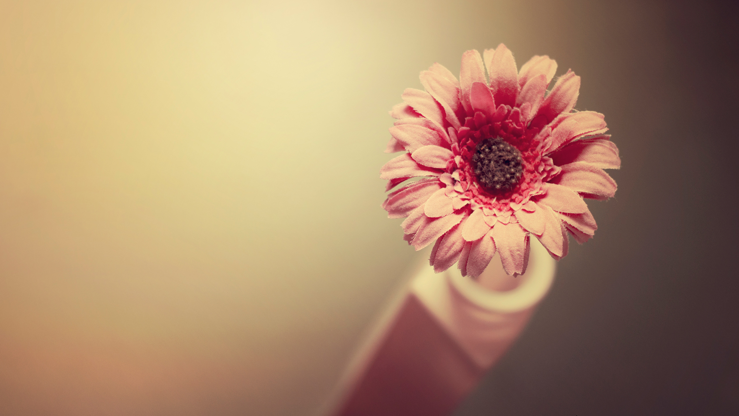 Simple Flower wallpaper by rajukhann  Download on ZEDGE  17cc