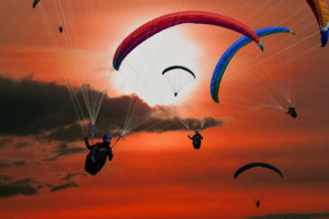 Paragliders2245814651 300x200 - Paragliders - Paragliders, Earth