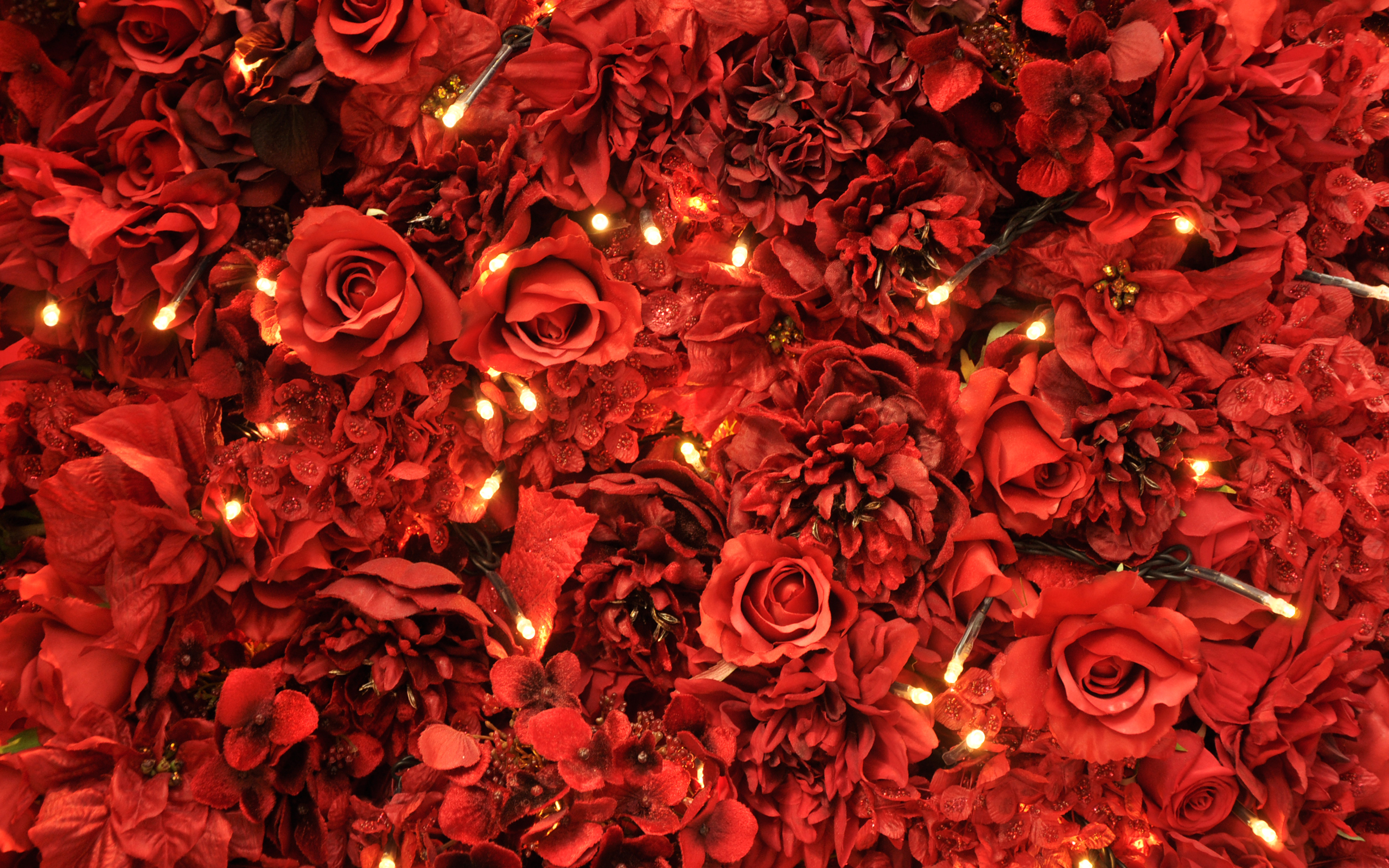 Wallpaper 4k Red Roses Lights Lights Lilac Roses