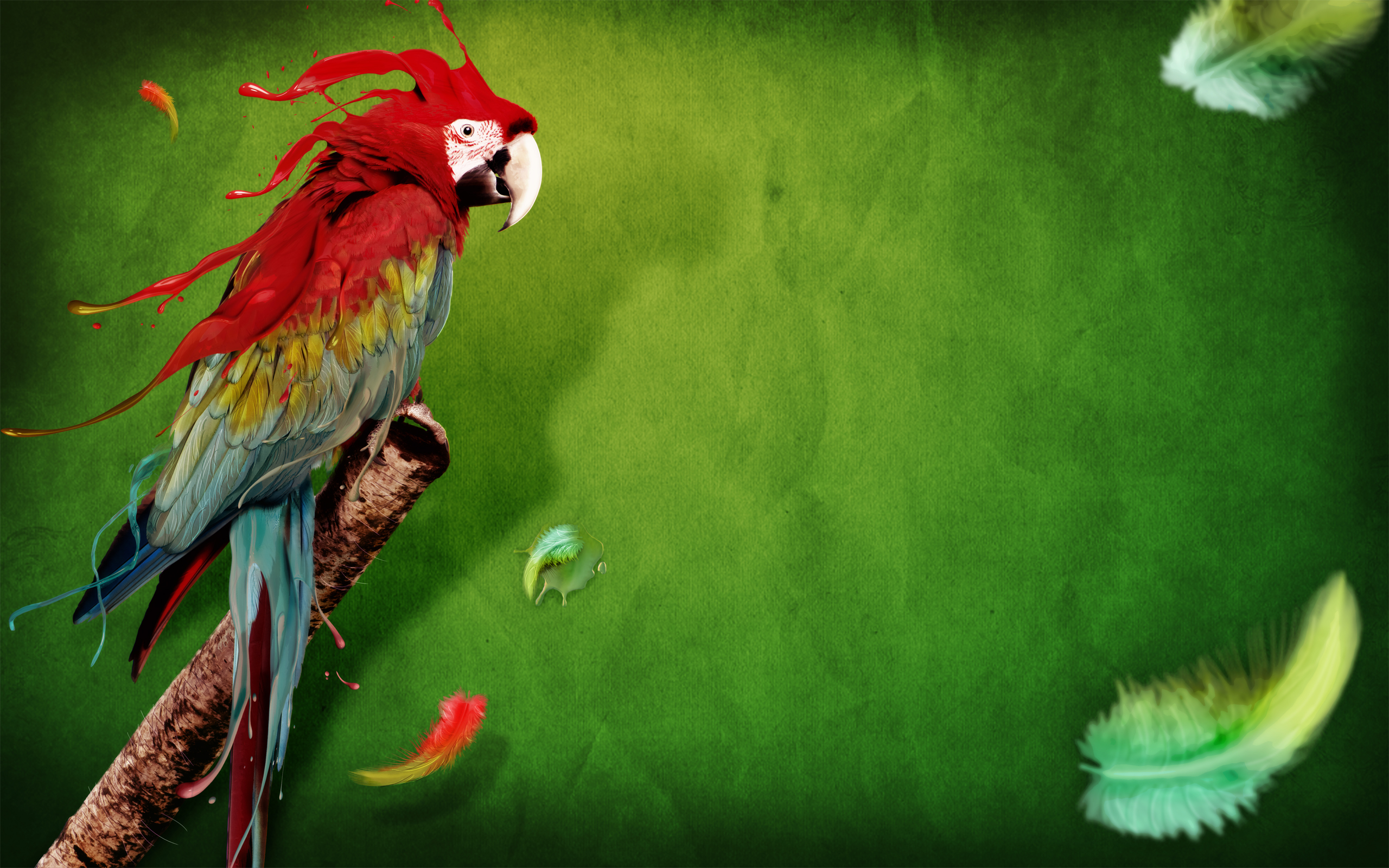 Parrot Wallpaper - HD 4K APK 6.0 - Download APK latest version