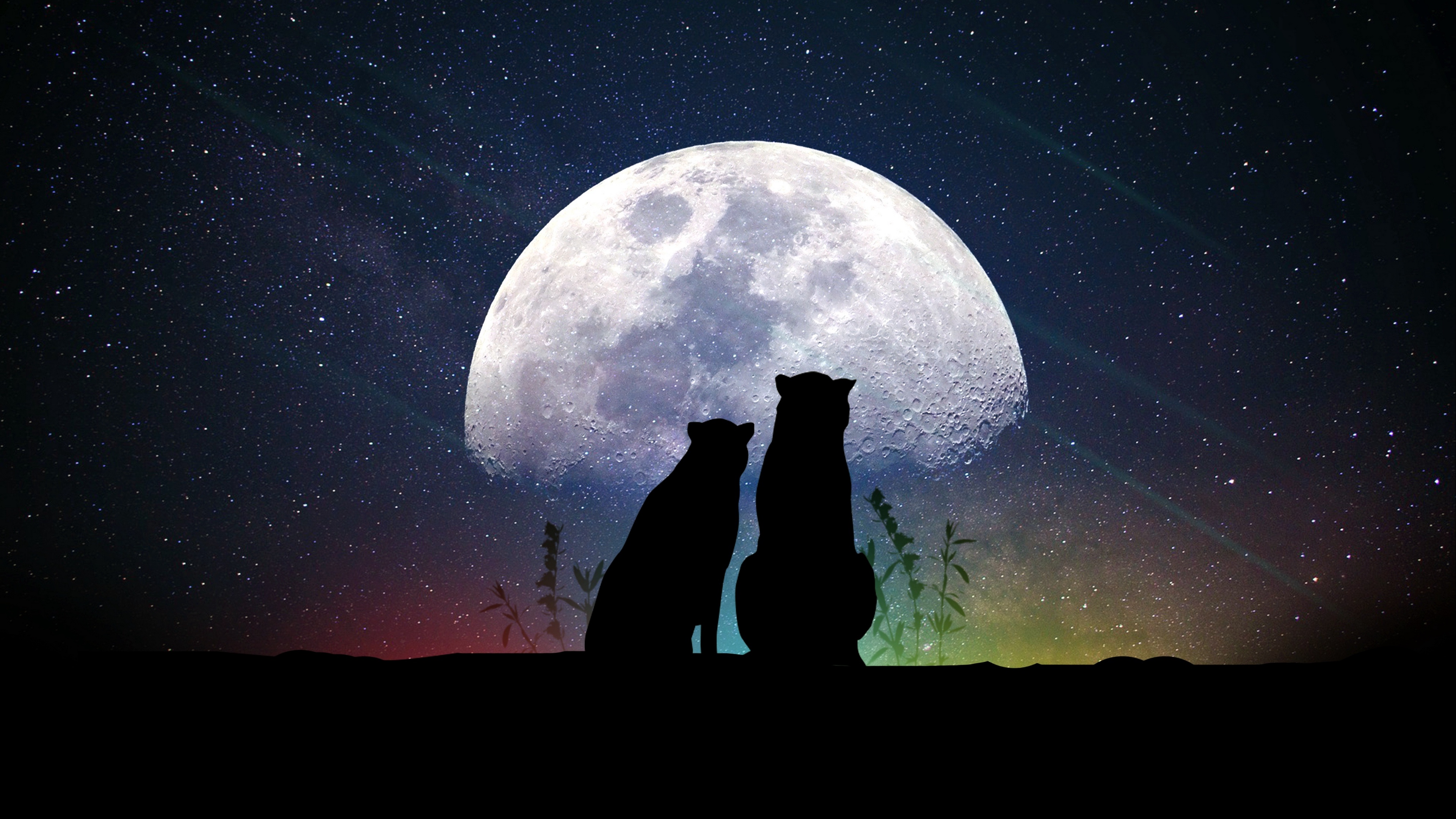 animals moon silhouettes starry sky 4k 1536098907 - animals, moon, silhouettes, starry sky 4k - silhouettes, Moon, Animals