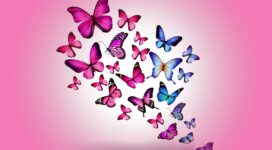 butterfly drawing flying colorful background pink 4k 1536098909 272x150 - butterfly, drawing, flying, colorful, background, pink 4k - Flying, drawing, Butterfly