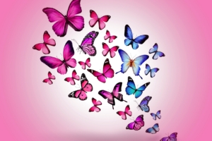 butterfly drawing flying colorful background pink 4k 1536098909 300x200 - butterfly, drawing, flying, colorful, background, pink 4k - Flying, drawing, Butterfly