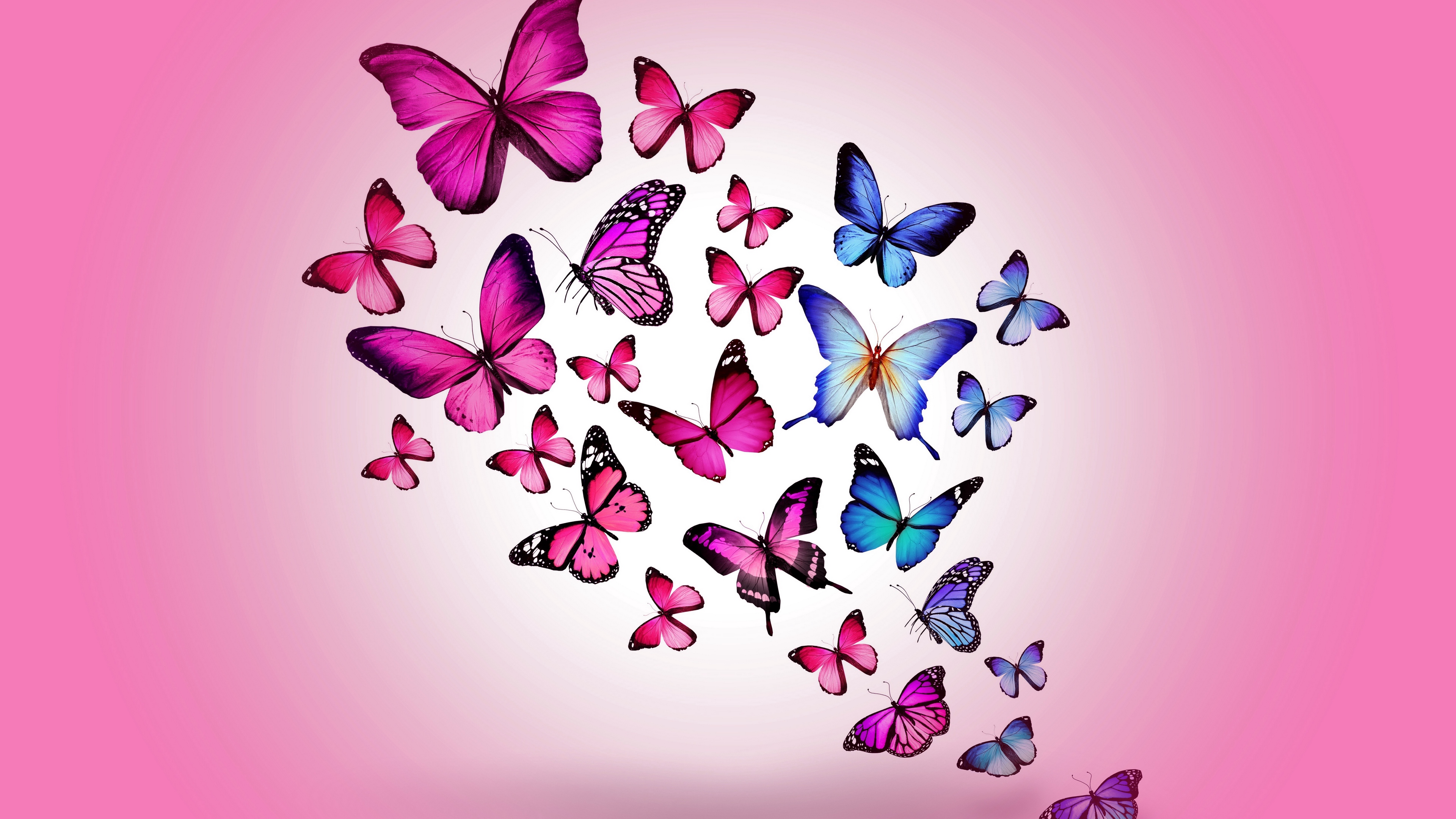 butterfly drawing flying colorful background pink 4k 1536098909 - butterfly, drawing, flying, colorful, background, pink 4k - Flying, drawing, Butterfly