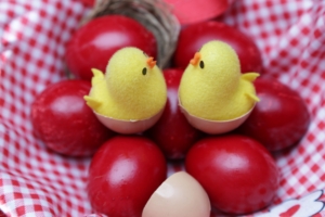 easter easter eggs cloth chickens 4k 1538344478 300x200 - easter, easter eggs, cloth, chickens 4k - easter eggs, Easter, cloth