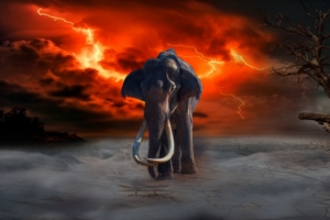 elephant lightning photoshop fantasy 4k 1536098399 300x200 - elephant, lightning, photoshop, fantasy 4k - photoshop, Lightning, elephant