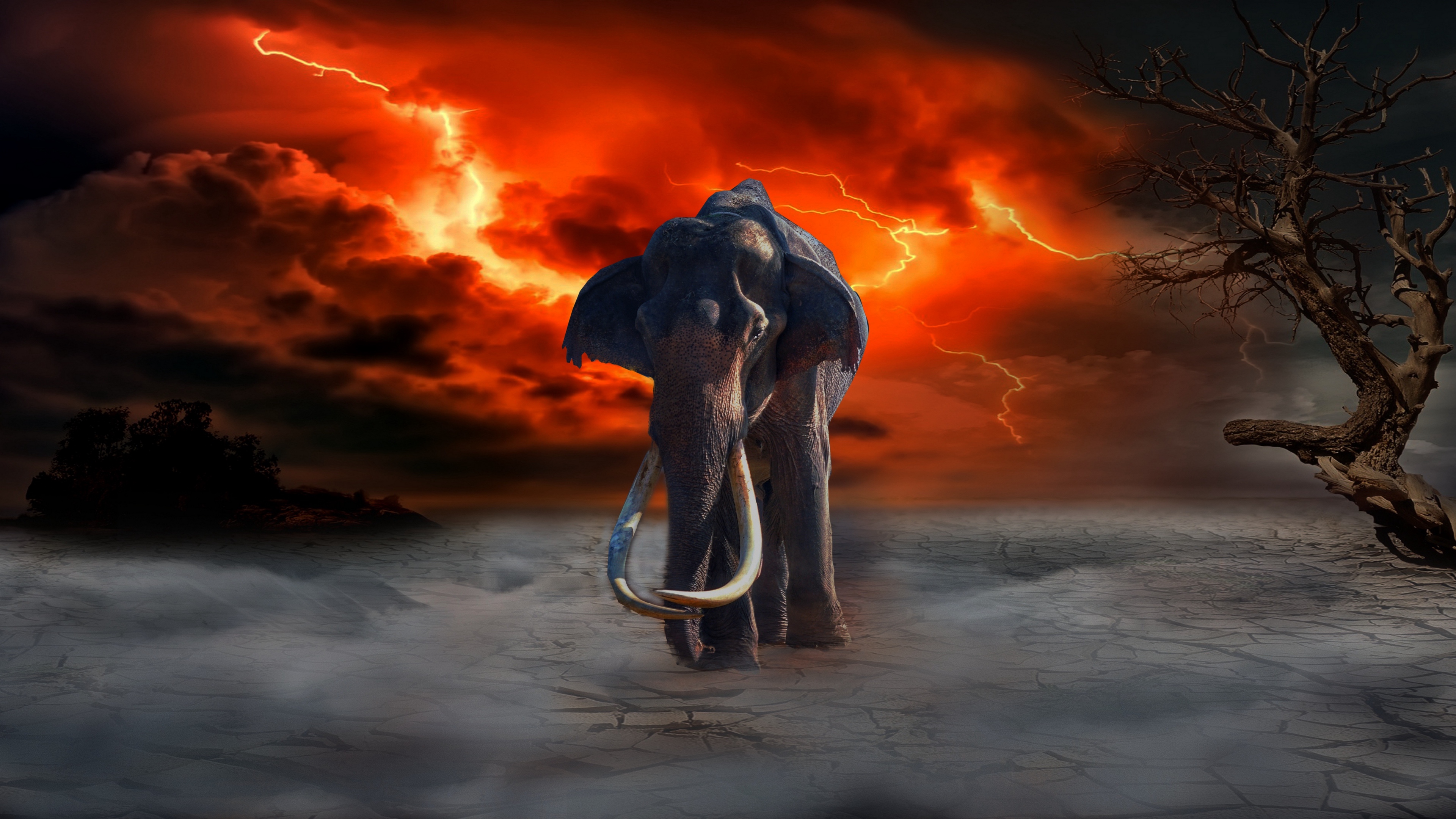 elephant, lightning, photoshop, fantasy 4k photoshop ...