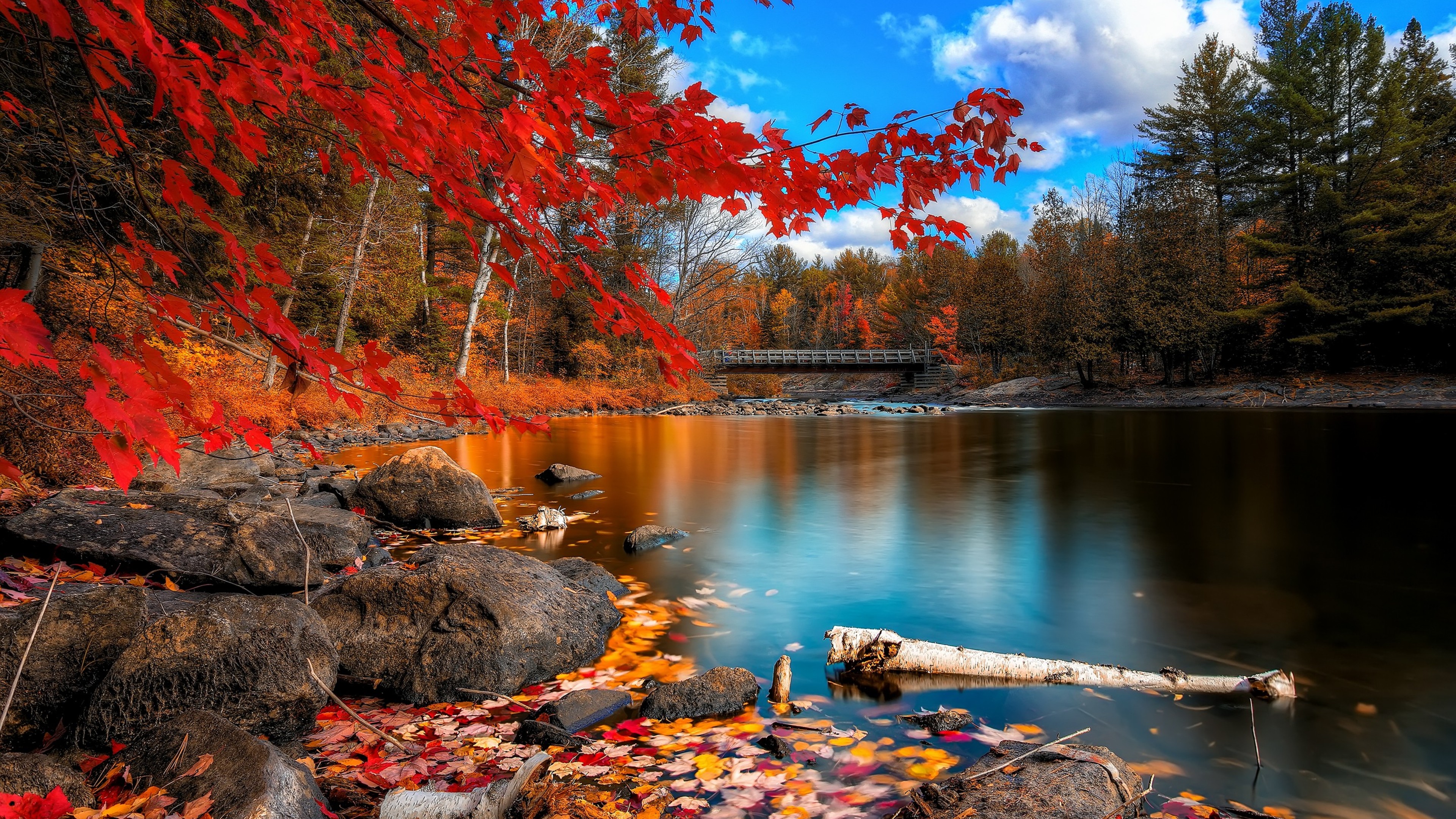 4k Autumn Wallpaper Images  Free Download on Freepik