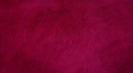 fur texture red surface 4k 1536097809 272x150 - fur, texture, red, surface 4k - Texture, red, fur