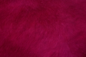 fur texture red surface 4k 1536097809 300x200 - fur, texture, red, surface 4k - Texture, red, fur