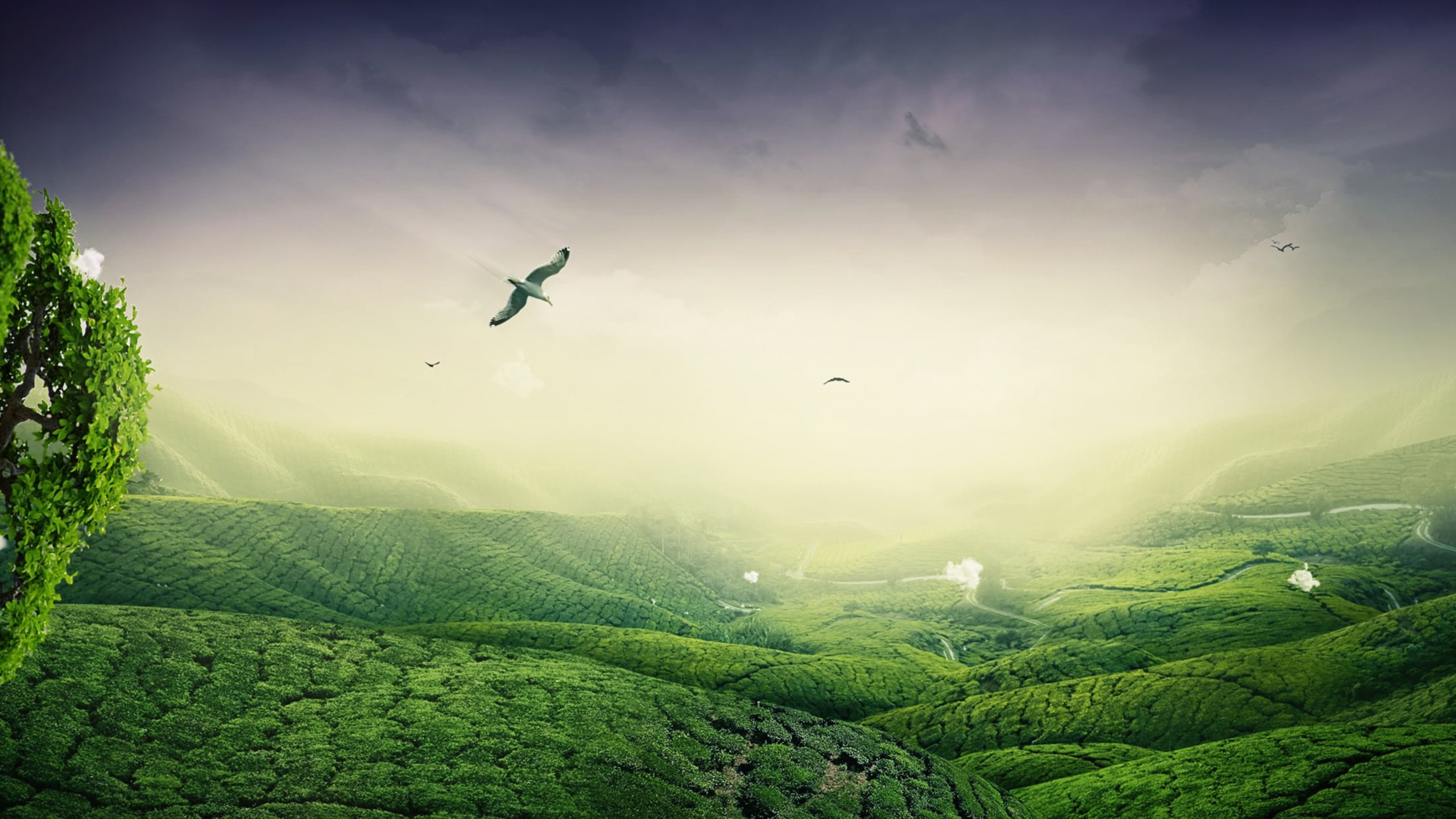 Green Landscape 1 green landscape 1535930767