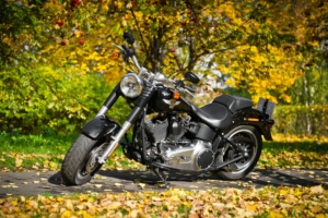 harley davidson motorcycle 2 1536316093 300x200 - Harley Davidson Motorcycle 2 - harley davidson wallpapers 4k, bikes wallpapers