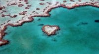 heart reef australia 1538069032 200x110 - Heart Reef Australia - world wallpapers, nature wallpapers, love wallpapers, heart reef wallpapers, creative wallpapers, artist wallpapers, art wallpapers