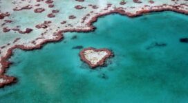 heart reef australia 1538069032 272x150 - Heart Reef Australia - world wallpapers, nature wallpapers, love wallpapers, heart reef wallpapers, creative wallpapers, artist wallpapers, art wallpapers