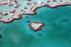 heart reef australia 1538069032 300x200 - Heart Reef Australia - world wallpapers, nature wallpapers, love wallpapers, heart reef wallpapers, creative wallpapers, artist wallpapers, art wallpapers