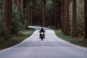 motorcyclist motorcycle road forest movement turn 4k 1536018429 300x200 - motorcyclist, motorcycle, road, forest, movement, turn 4k - Road, motorcyclist, Motorcycle