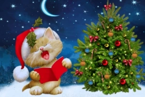 new year christmas cat card 4k 1538345392 300x200 - new year, christmas, cat, card 4k - new year, Christmas, Cat