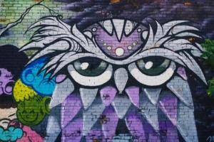 owl graffiti art wall street art 4k 1536098352 300x200 - owl, graffiti, art, wall, street art 4k - Owl, graffiti, art