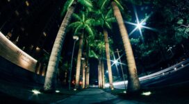 palms night street lighting 4k 1538067515 272x150 - palms, night, street, lighting 4k - Street, palms, Night