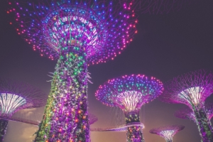 singapore artificial trees lighting decoration city 4k 1538066365 300x200 - singapore, artificial trees, lighting, decoration, city 4k - Singapore, Lighting, artificial trees