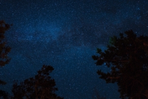 starry sky night trees stars 4k 1536013791 300x200 - starry sky, night, trees, stars 4k - Trees, starry sky, Night