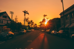 street sunset palm trees road road signs cars 4k 1538068692 300x200 - street, sunset, palm trees, road, road signs, cars 4k - sunset, Street, palm trees