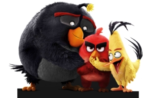 the angry birds 8k 1536363269 300x200 - The Angry Birds 8k - the angry birds movie wallpapers, movies wallpapers, birds wallpapers, animated movies wallpapers, angry birds wallpapers, 2016 movies wallpapers