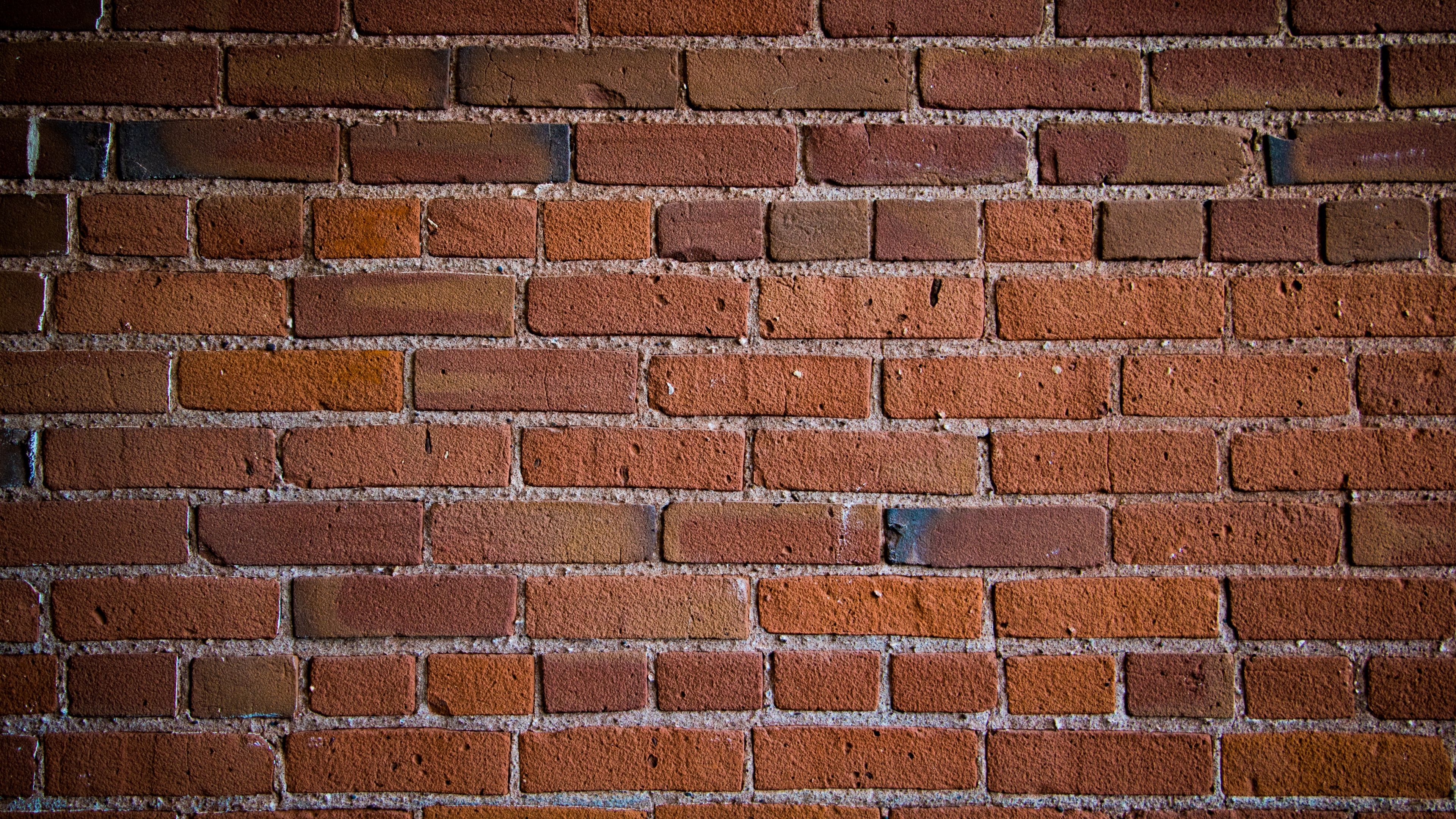 wall bricks texture 4k 1536097896 - wall, bricks, texture 4k - WALL, Texture, bricks