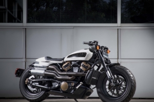 2020 harley davidson custom 1250 1538943414 300x200 - 2020 Harley Davidson Custom 1250 - hd-wallpapers, harley davidson wallpapers, bikes wallpapers, 5k wallpapers, 4k-wallpapers, 2020 bikes wallpapers