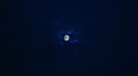 beautiful moon in blue sky 4k 1540144688 272x150 - Beautiful Moon In Blue Sky 4k - sky wallpapers, nature wallpapers, moon wallpapers, hd-wallpapers, 5k wallpapers, 4k-wallpapers