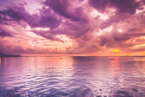 beautiful purple sea and pink horizon sunrise 4k 1540135273 300x200 - Beautiful Purple Sea And Pink Horizon Sunrise 4k - sunrise wallpapers, sea wallpapers, purple wallpapers, nature wallpapers, horizon wallpapers, hd-wallpapers, 4k-wallpapers
