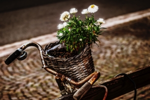 bicycle bouquet basket rust 4k 1540064565 300x200 - bicycle, bouquet, basket, rust 4k - Bouquet, Bicycle, Basket