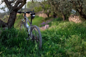 bicycle grass trees 4k 1540063286 300x200 - bicycle, grass, trees 4k - Trees, Grass, Bicycle