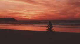 bicyclist sea shore sunset 4k 1540574500 272x150 - bicyclist, sea, shore, sunset 4k - Shore, Sea, bicyclist