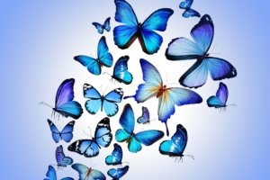 butterfly art 4k 1540748412 300x200 - Butterfly Art 4k - digital art wallpapers, butterfly wallpapers, artist wallpapers