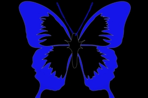 butterfly minimalism black blue 4k 1540574295 300x200 - butterfly, minimalism, black, blue 4k - minimalism, Butterfly, Black