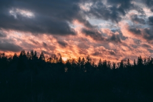 clouds trees sky sunset 4k 1540574904 300x200 - clouds, trees, sky, sunset 4k - Trees, Sky, Clouds