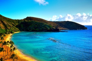 coast of hawaii 4k 1540131552 300x200 - Coast Of Hawaii 4k - nature wallpapers, coast wallpapers