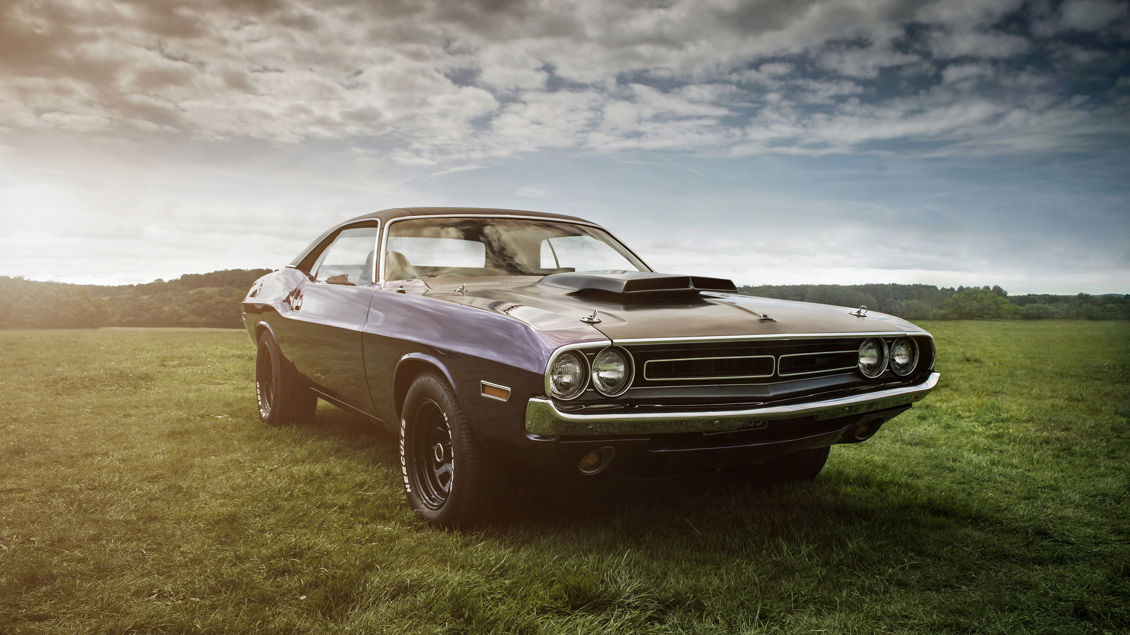Dodge Challenger Hd 4k vintage cars wallpapers, muscle cars wallpapers