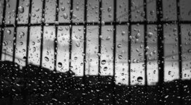 drops glass surface bw 4k 1540575213 272x150 - drops, glass, surface, bw 4k - Surface, Glass, Drops