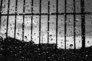 drops glass surface bw 4k 1540575213 300x200 - drops, glass, surface, bw 4k - Surface, Glass, Drops